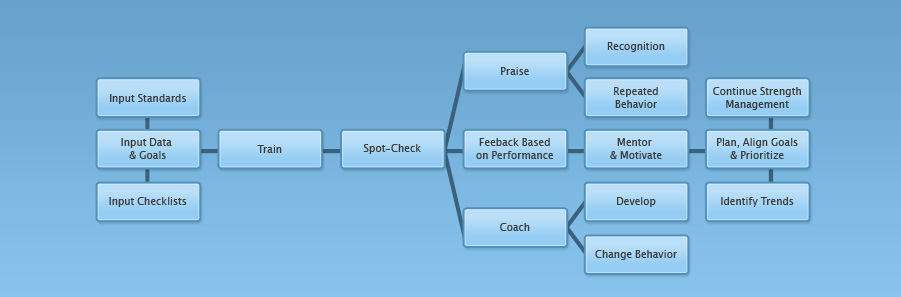 Survey Companion Workflow Graph